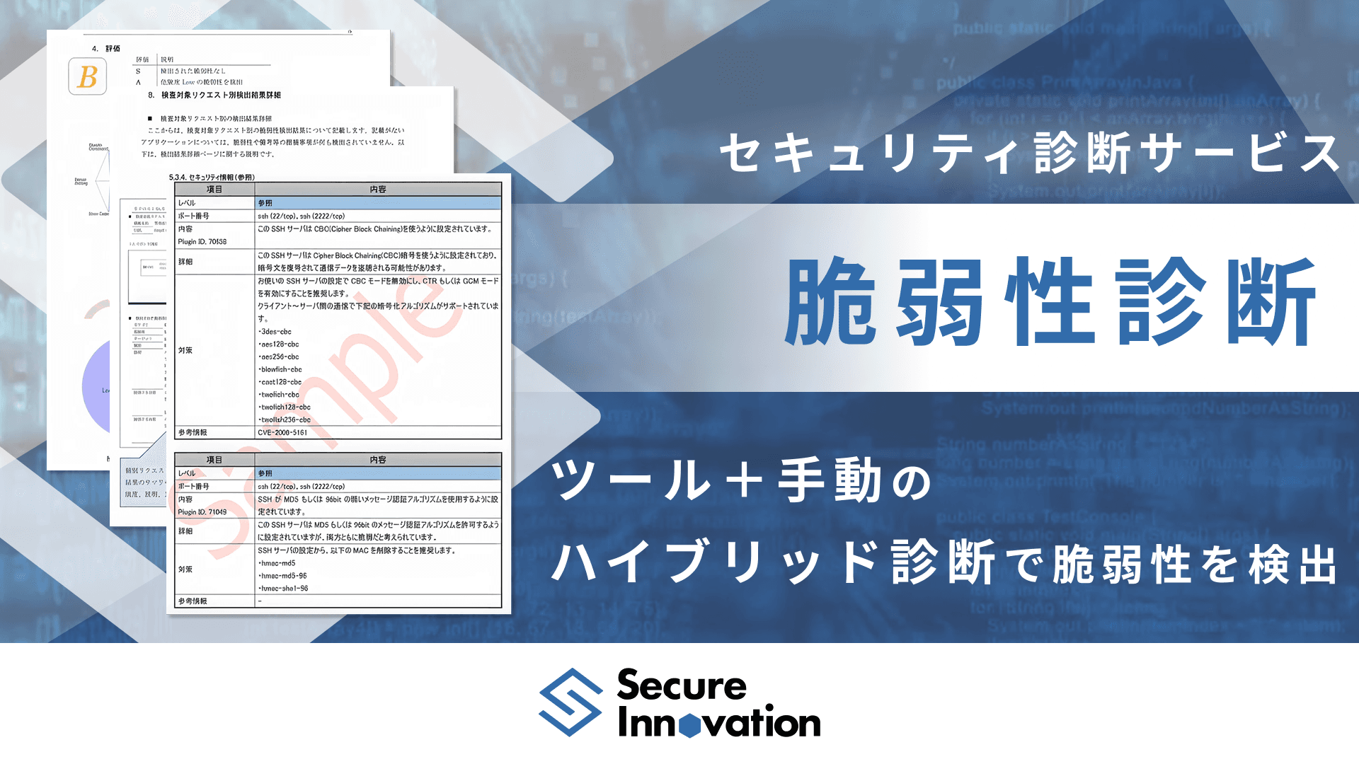 セキュリティ脆弱性診断｜セキュリティ診断サービス