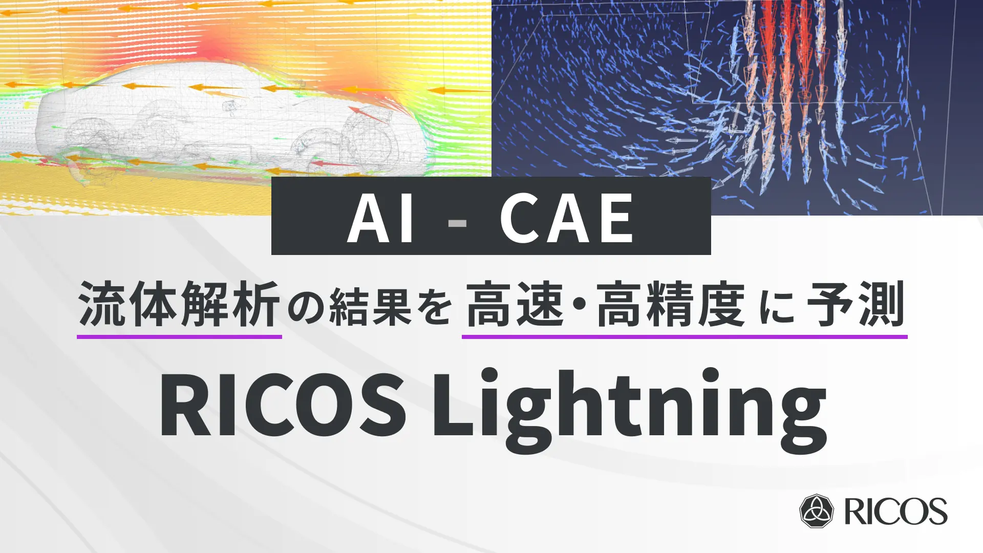 AIでCAEの高速化を実現するクラウドサービス RICOS Lightning