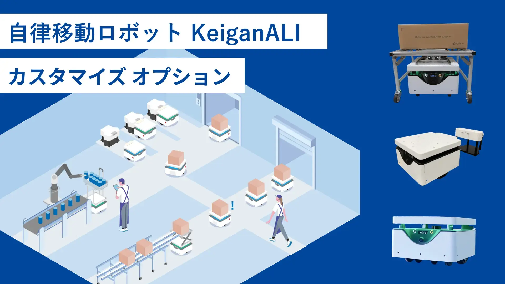 AMRカスタマイズオプション | KeiganALI