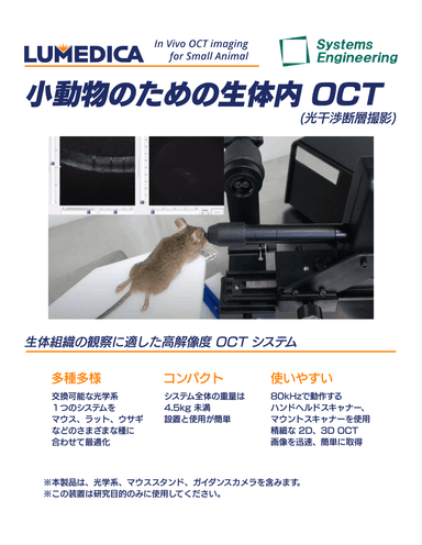 小動物のための生体内OCT（光干涉断層撮影）