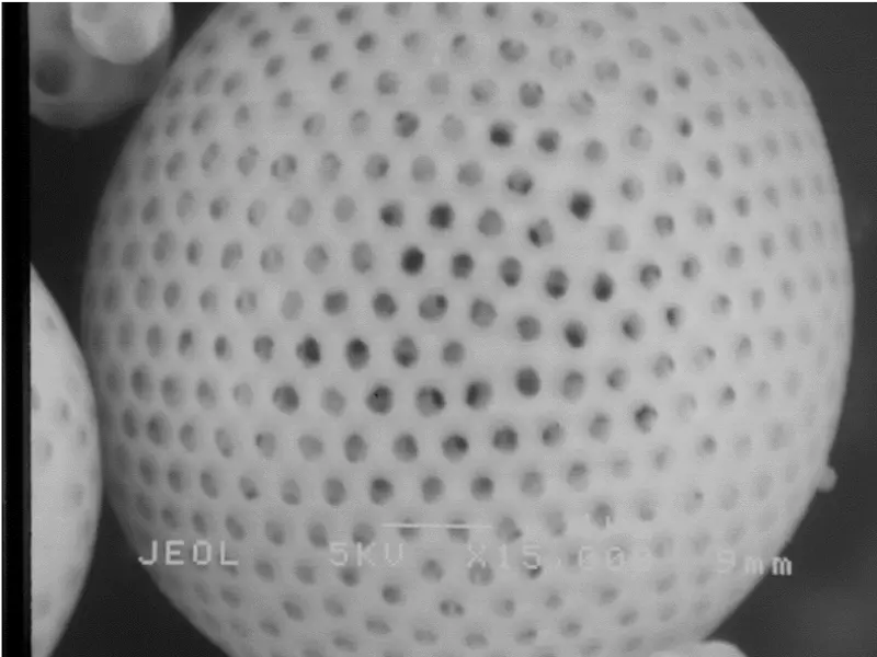ゾル-ゲル法をベースとした新機能性材料の開発