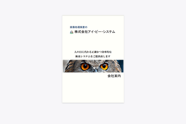 画像検査装置 資料