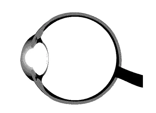 レンズのあらゆるボケや収差を取り除く　「Optical Learning ®（光学学習型無収差復元）」