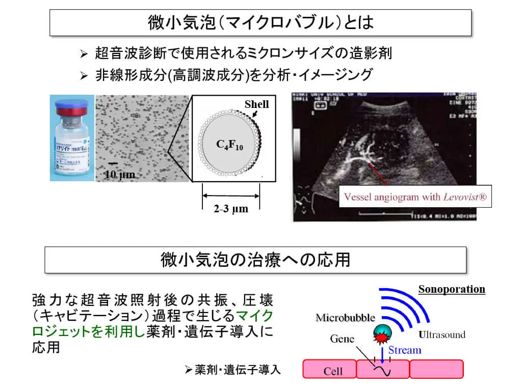 超音波エコー装置を利用したマイクロバブル／ナノバブル観測技術