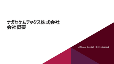 ナガセケムテックス株式会社 会社概要