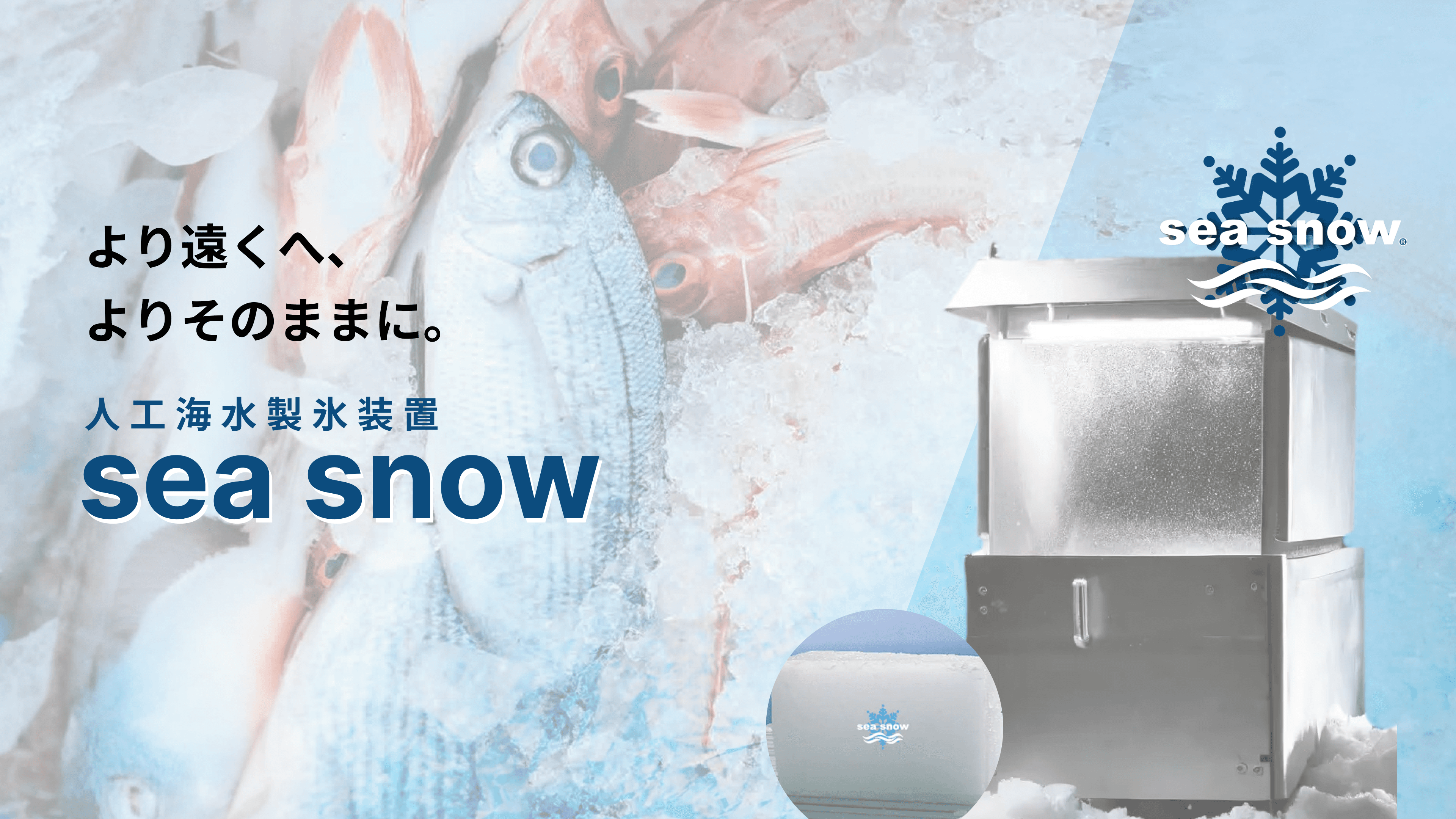 人工海水製氷装置 “sea snow”