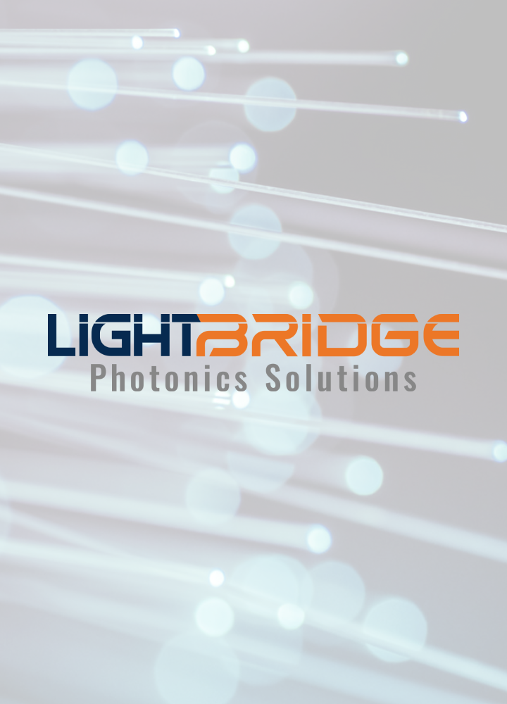 合同会社LightBridge