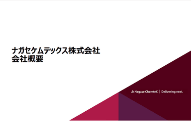 ナガセケムテックス株式会社 会社概要