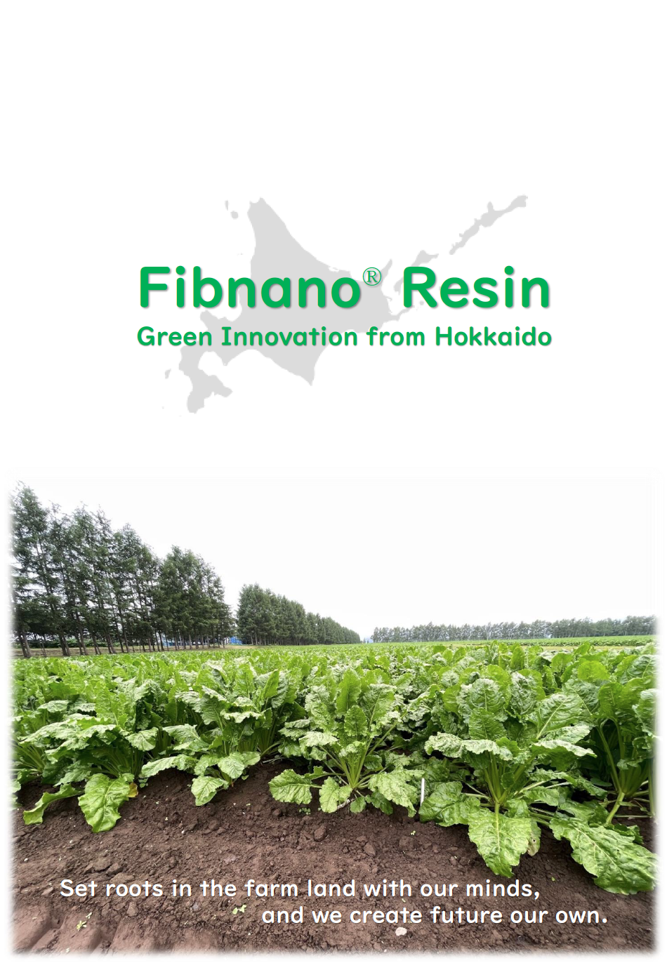 Fibnano®(ファイブナノ) Resin　資料