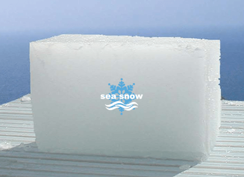 人工海水製氷装置 “sea snow”