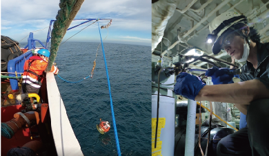 洋上風力発電、海洋物理探査向け調査機器・サービス、ソリューション